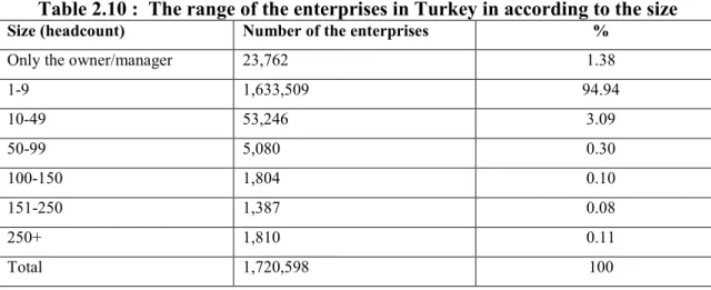 Table 2.10 :  The range of the enterprises in Turkey in according to the size 