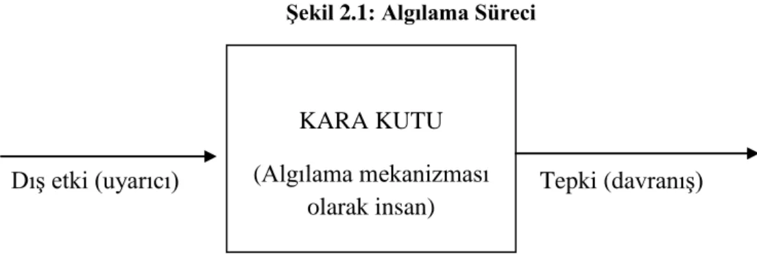ġekil 2.1: Algılama Süreci 