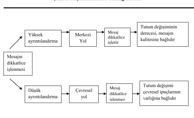 ġekil 2.4: Ayrıntılandırma Olasılığı Modeli 