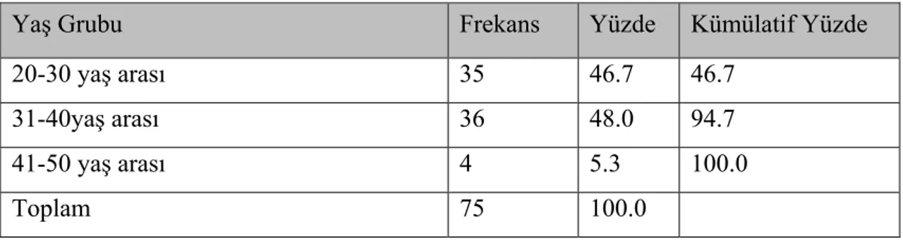 Tablo 5.3: Kişilerin yaş gruplarına ilişkin dağılımları 