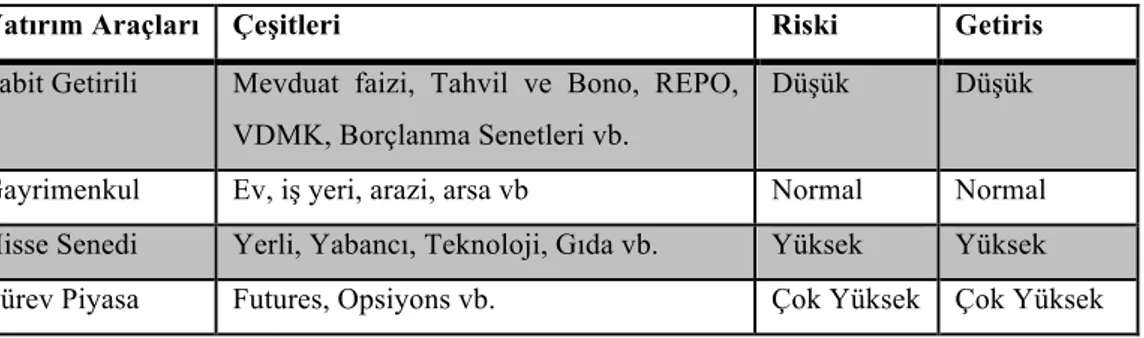 Tablo 2.3: Yatırım araçları 