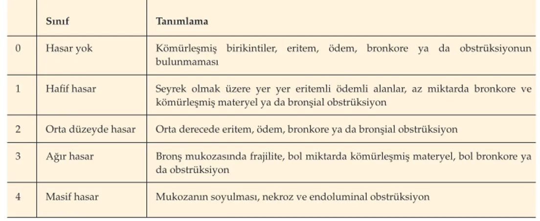 Tablo 2. Solunum yolları yanıklarının fiberoptik bronkoskopi bulgularına göre sınıflandırılması  (13) .