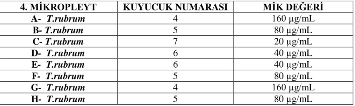 Tablo 4.4. Kurkumin ekstratı 4. mikropleyt MĠK değerleri 