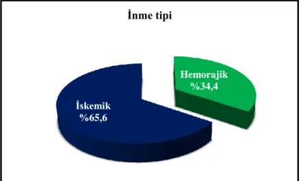 Şekil 4.2. İnme tipi dağılımı 