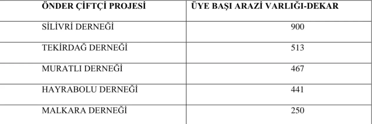 Tablo 13 Önder Çiftçi Projesi Dernekleri Üye Başı Ekilen Dikilen Arazi  Varlığı Kıyası 