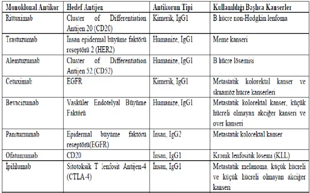 Çizelge  1  Kanser  Tedavisinde  Kullanılan  Bazı  Temel  Monoklonal  Antikorlar  (ġakalar ve ark., 2013; Han J, 2010)