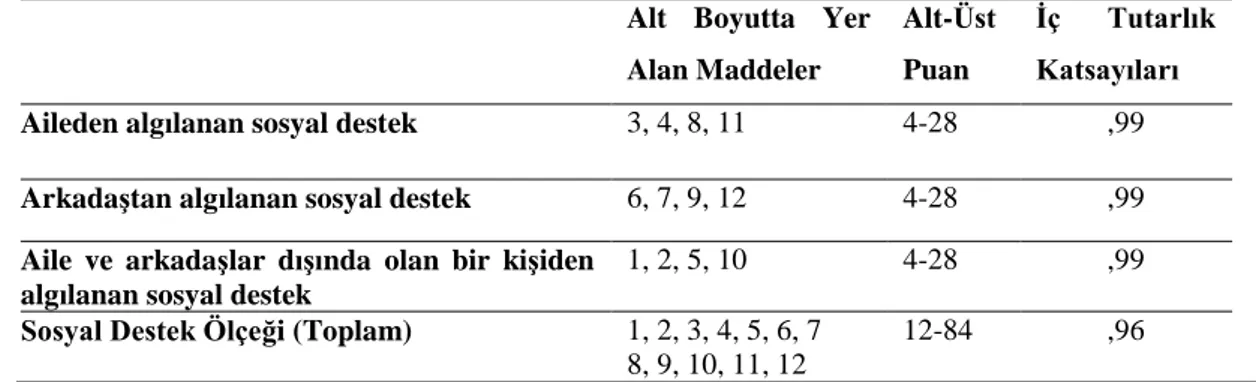 Tablo 3.1. ÇBASD Ölçeğinin ve Alt Boyutlarının Ġç Tutarlılık Katsayıları 