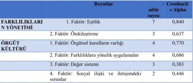 Tablo 3. 9 Farklılıkların yönetimi ölçeği güvenilirlik analizleri tablosu 