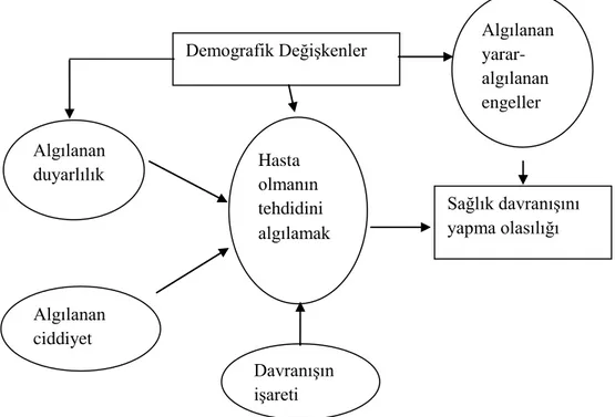 Şekil 1. Sağlık İnancı Davranışının Basitleştirilmiş Versiyonu(Biddle ve Mutrie  2007)