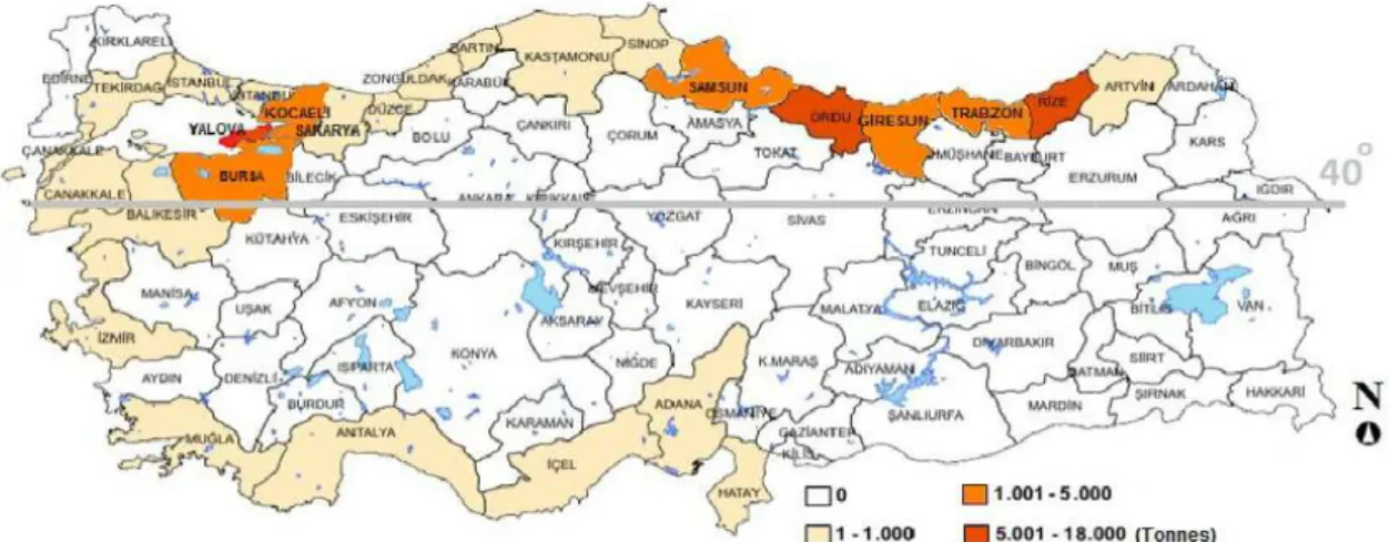 Çizelge 4.10. Türkiye Kivi Üretimi (2017) 