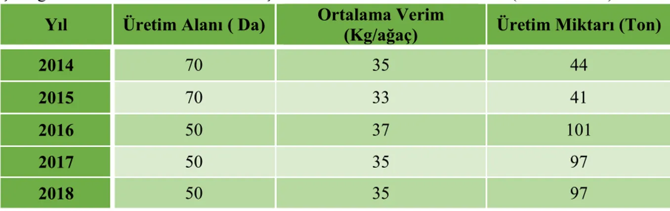 Çizelge 5.3. Kastamonu İli İnebolu İlçesi Kivi Üretim Alanı ve Miktarı ( TÜİK 2018 )  Yıl  Üretim Alanı ( Da)  Ortalama Verim  (Kg/ağaç)  Üretim Miktarı (Ton) 