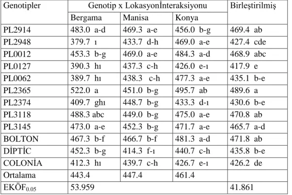 Çizelge 4. 26. Sap ağırlığı özelliğine ilişkin genotip x lokasyon interaksiyonu ve birleştirilmiş  genotip ortalamaları ile önemlilikleri 