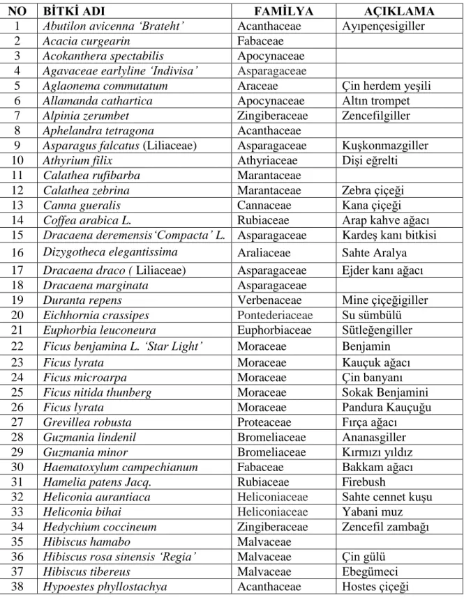 Çizelge 7.1.  Yağmur ormanı serasında bulunan bazı tropik bitkilerin listesi 