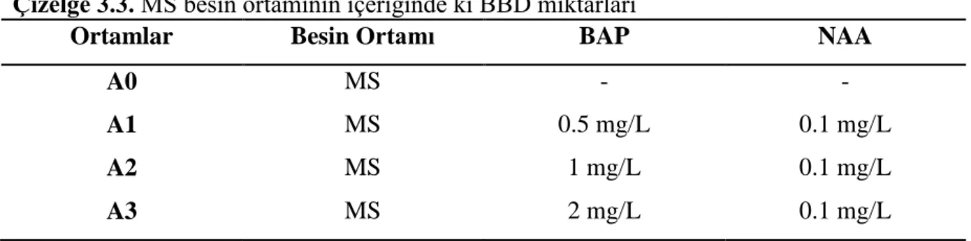 Çizelge 3.3. MS besin ortamının içeriğinde ki BBD miktarları