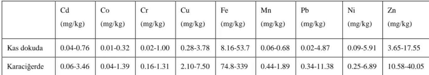 Tablo 2.1. Doğu Karadeniz‘den avlanan balıklarda ağır metal sonuçları (Akaydın 2014).  Cd  (mg/kg)  Co  (mg/kg)  Cr  (mg/kg)  Cu  (mg/kg)  Fe  (mg/kg)  Mn  (mg/kg)  Pb  (mg/kg)  Ni  (mg/kg)  Zn  (mg/kg)  Kas dokuda   0.04-0.76  0.01-0.32  0.02-1.00  0.28-3