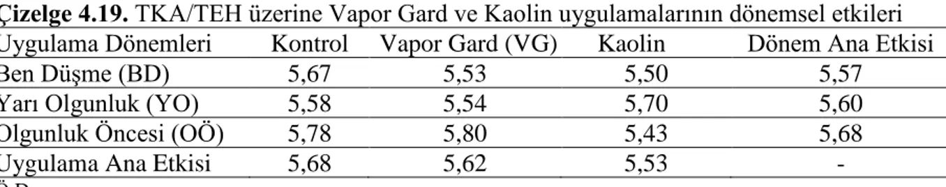 Çizelge 4.19. TKA/TEH üzerine Vapor Gard ve Kaolin uygulamalarının dönemsel etkileri 