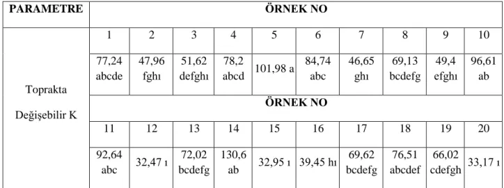 Çizelge 4.8.Farklı parklardaki toprakların değişebilir K miktarı ortalamaları ve LSD testine göre  grupları  PARAMETRE  ÖRNEK NO  Toprakta   Değişebilir K  1  2  3  4  5  6  7  8  9  10 77,24 abcde 47,96 fghı 51,62 defghı 78,2 abcd 101,98 a 84,74 abc 46,65