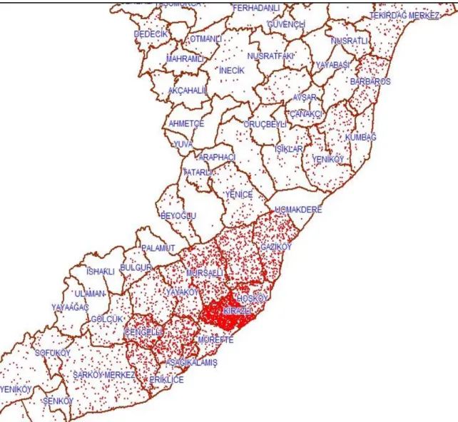 Şekil 1.2. Çiftçi beyanlarına göre bu ilçelerdeki bağ alanlarının mekansal dağılımını gösteren  bir tematik harita (Sertel ve ark