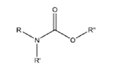 Şekil 2.3. Karbamatların kimyasal yapısı 