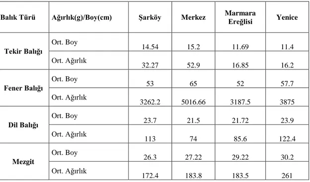 Tablo 3.2. Tekirdağ ili Marmara Denizi numune alma noktaları ve balıkların ortalama boy ve  ağırlıkları