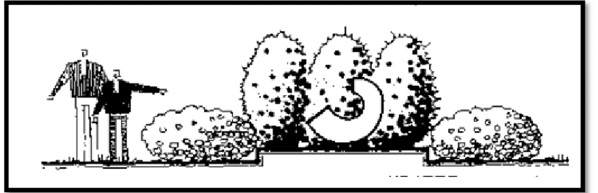 Şekil 2.9: Bitkilerin fon oluşturması (Booth 1996). 