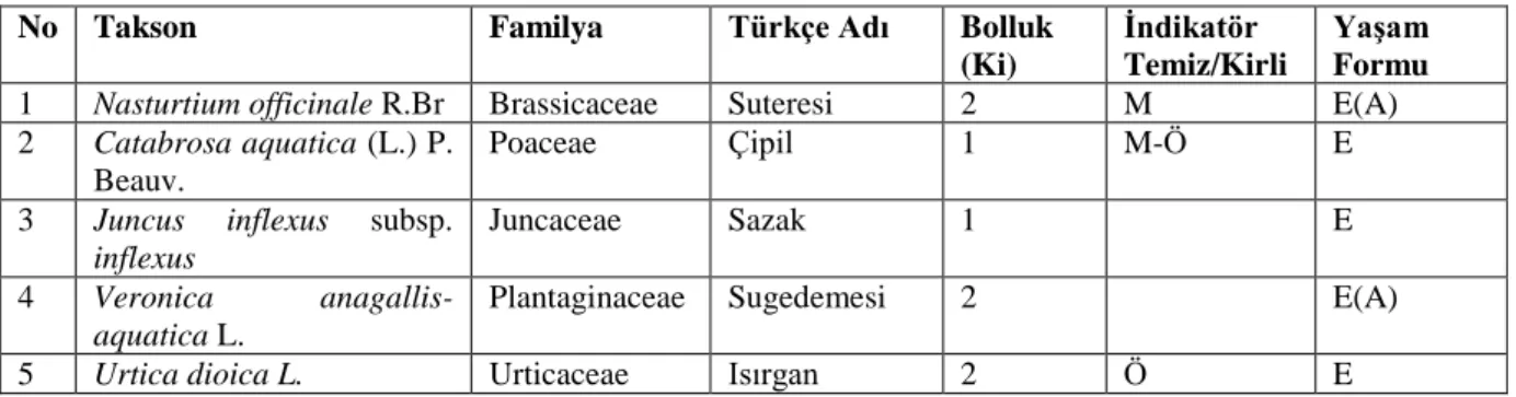 Tablo 4.12. KE02 Noktası İkinci Dönem Makrofit Kompozisyonu ve Bolluk Değerleri 