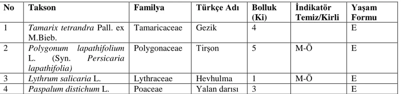 Tablo 4.21. KE03 Noktası Dördüncü Dönem Makrofit Kompozisyonu ve Bolluk Değerleri 