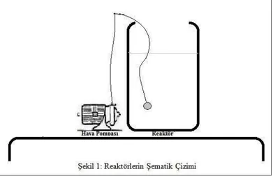 Şekil 3.1. Aklimasyon reaktörünün temsili şematik gösterimi 