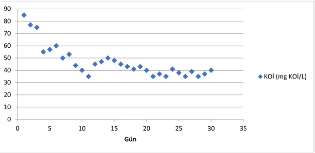 Şekil 4.2. Evsel atıksu için aklimasyon süresi boyunca izlenen çıkış suyu KOİ parametresi 
