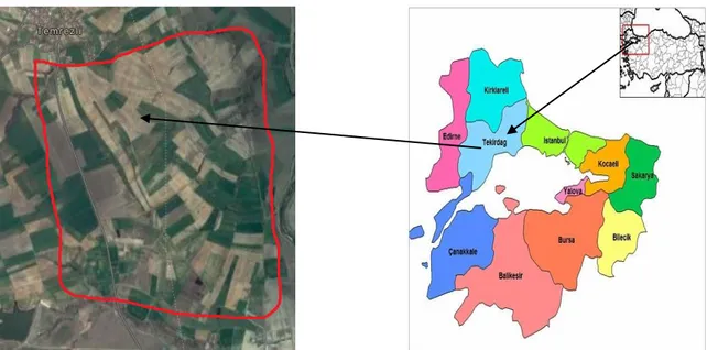 Şekil 3.1. Çalışma sahası ( Anonim 2019b) 