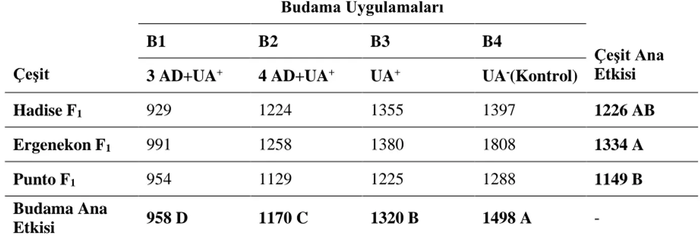 Çizelge  4.8.  Budama  uygulamalarının  çeşitlere  göre  dekarda  pazarlanabilir  meyve  ağırlığı  üzerine etkisi (kg/bitki) 