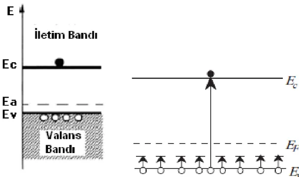 Şekil 2.7 : p-tipi yarıiletkenin termal dengedeki enerji band diyagramı (Sze M. S., 2007) 