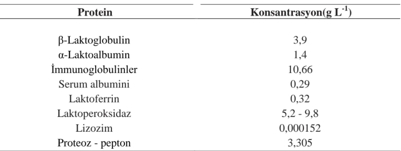 Çizelge 1.1. Manda sütü serum protein kompozisyonu (Pandya ve Khan 2006) 