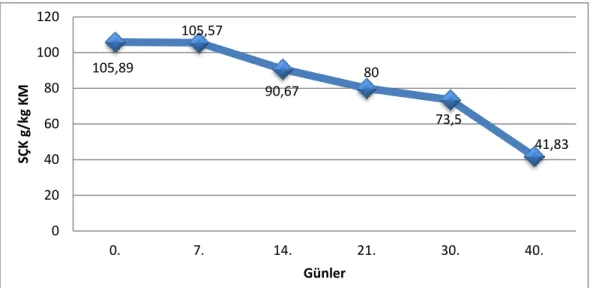 Şekil 4.5. SÇK değişim grafiği  