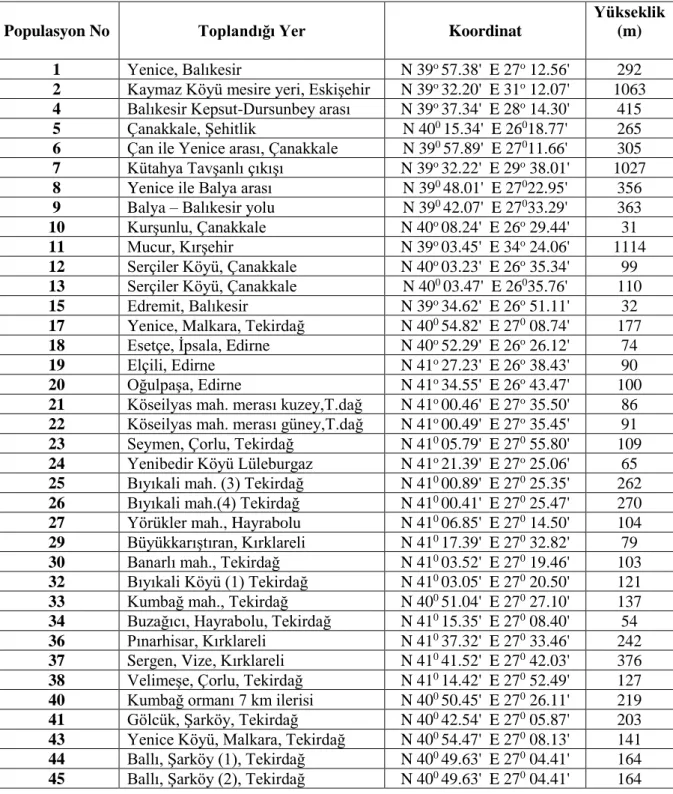Çizelge 3.1. Çok yıllık çim populasyonlarının toplandığı yer, koordinat ve yükseklik verileri 
