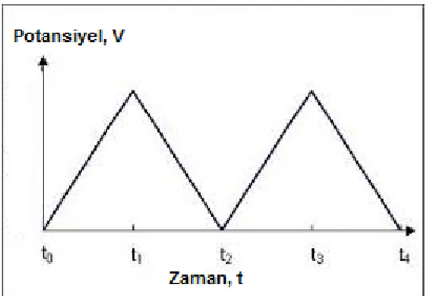 Şekil 2.2: Doğrusal taramalı ve dönüşümlü voltametride potansiyel taramasının zamanla değişimi  