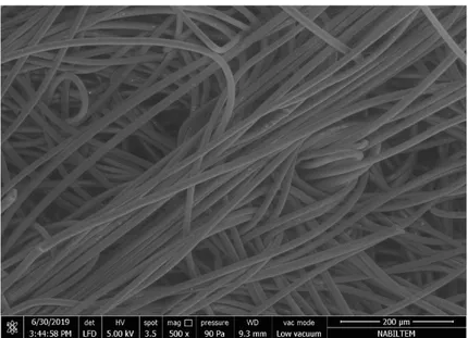 Şekil 5.2. Argon Uygulamalı %100 Polyester Kumaş Numunesi SEM Görüntüsü 