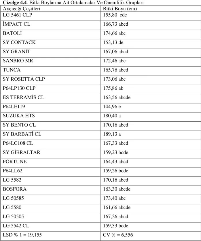 Çizelge 4.4. Bitki Boylarına Ait Ortalamalar Ve Önemlilik Grupları                            