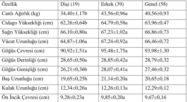 Çizelge 4.1.  Kuzularda  cinsiyet  faktörüne  göre  canlı  ağırlık  ve  çeşitli  vücut  ölçülerinin  tanımlayıcı istatistikleri (Xort ± Sh )  ve önem testi sonuçları 