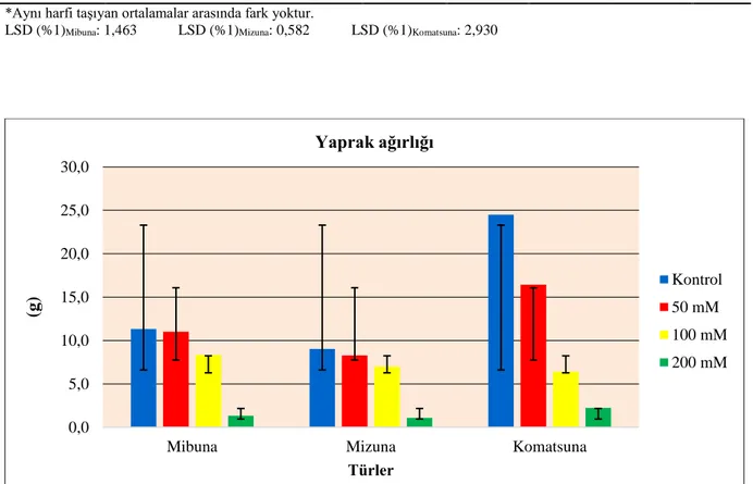 Şekil 4.3.  Farklı tuz konsantrasyonlarının mibuna, mizuna ve komatsuna bitkilerinin  yaprak ağırlığı (g) ortalamaları üzerine etkileri 