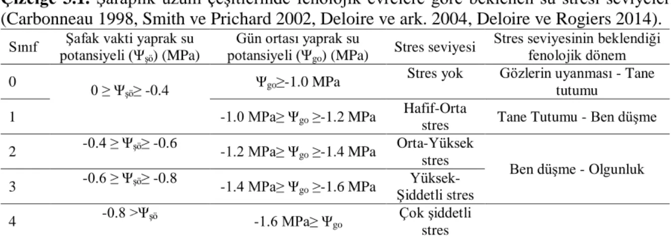 Çizelge 3.1. Şaraplık üzüm çeşitlerinde fenolojik evrelere göre beklenen su stresi seviyeleri 