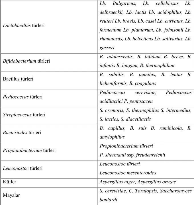 Çizelge 2.1 Probiyotik olarak kullanılan bazı mikroorganizmalar (Yılsay ve Kurdal, 2000) 