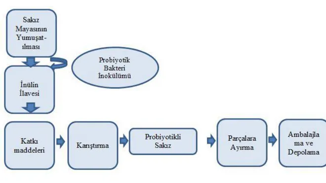 Şekil 3. 1 Probiyotik ilaveli sakız üretim şeması 