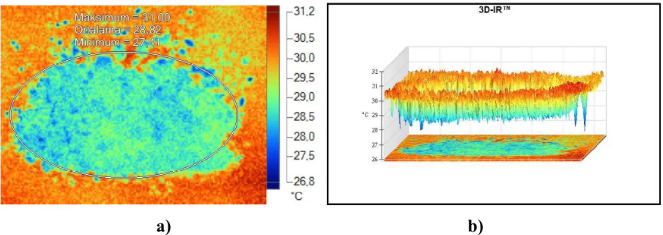 Şekil  4.15.  a)  %0,5  SDA  ilave  edilen  fermente  mısır  silajının  termal  kamera  görüntüsü,  b)  Termal kamera görüntüsünün grafiği 