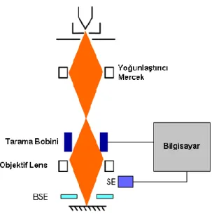 Şekil 2.12. SEM'in şematik diyagramı (Goldstein &amp; ark., 2003; Zhou &amp; Wang, 2007)