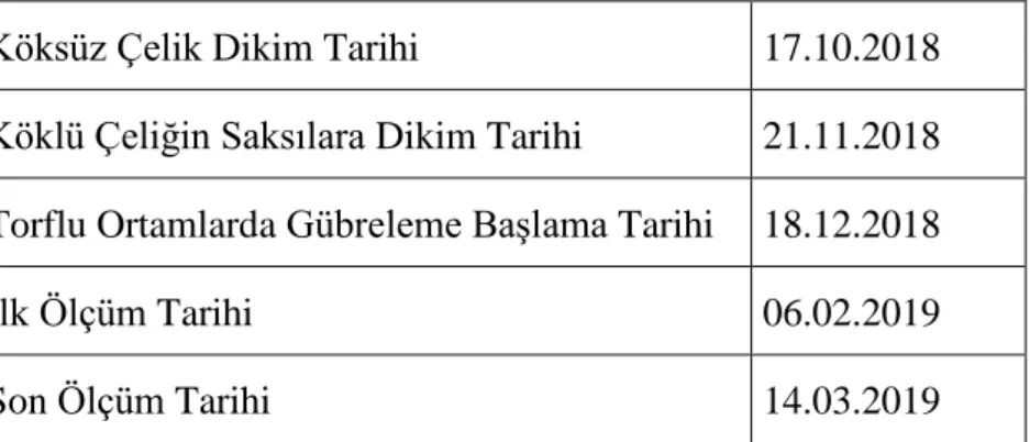 Çizelge 3.4 : Üretim planı. 