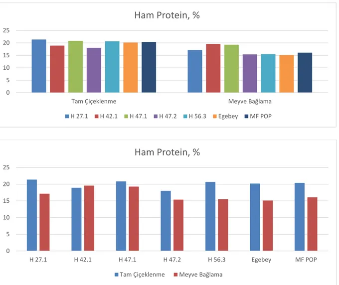 Şekil 4.3. Macar fiğ kuru otlarının ham protein değişimleri 