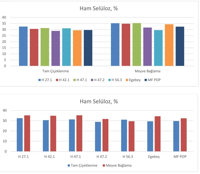 Şekil 4.5. Macar fiğ kuru otlarının %ham selüloz değişimleri 