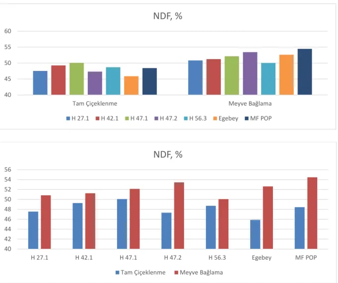 Şekil 4.7. Macar fiğ kuru otlarına ait %NDF değişimleri 