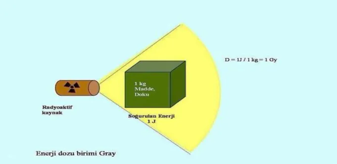 Şekil 2.4. Enerji Doz Birimi olan gray (Gy)’ın tanımı 